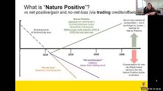 Dr Megan Evans of UNSW presenting on environmental markets and what it means to be nature positive.