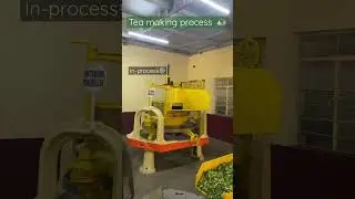 Tea plantation | Kerala | Munnar tea making - in process | Mini vlog #kerala #teaplantations #munnar