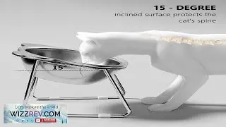 Raised Cat Bowls Tilted Neck Guard Cat Food Bowl 304 Stainless Steel