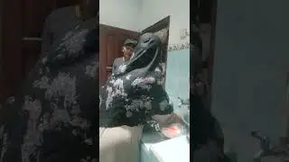 29 November 2025