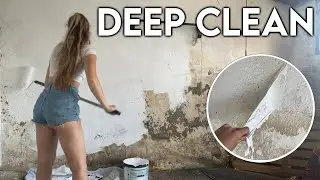 MY HORSE HATES IT?! | satisfying stable cleaning