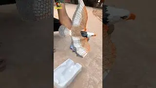 Flying Eagle Bird Testing #shorts
