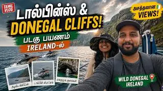 Wild Dolphins 🐬 in Sea! | Ireland Boat Cruise | Tamil Vlog | Sindhujan Vlogs