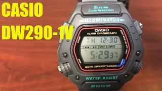 Casio Classic Digital Spost Watch DW290-1V