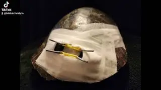 #turtlerescue
