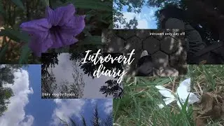 Introvert only day off || Introvert diary || Gloomy morning, Grocery shopping, Solo picnic