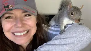 Бьянка 🐿️ Дерзкая белка, которая нашла второй шанс ❤️
