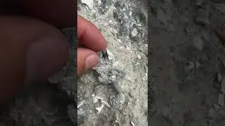 Ancient Ocean Floor!