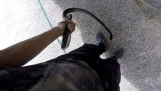 Snake bites my JUNK! Relocating an Oriental Rat Snake
