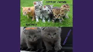 CopyCat Culture