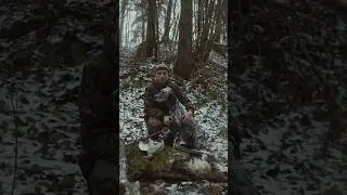 Hunting in the Jungle | Epic Forest Adventure  | Realistic Wildlife Scene