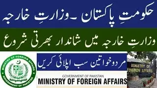 Ministry of Foreign Affairs Jobs 2024