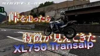 慣らし中Transalpとワインディングインプレッション