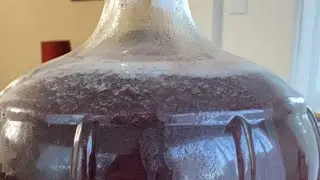 Let&rsquo;s make blackberry mead