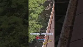 Gutter Cleaning Upper Marlboro MD | Trusted Local Experts &ndash; GutterDogs