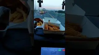 Самый весёлый светофор 🤣 #юмор #subscribe #automobile #like #truck #trucking #road #дальнобой