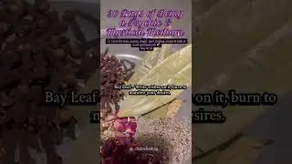 5 mystical herbs to protect, manifest & heal instantly ✨🔮#herbs #witchtok #magic #greenwitch