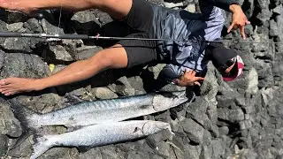 first cast rock shore fishing in 2026 disambut ikan monster babon 12kg dan 8Kg
