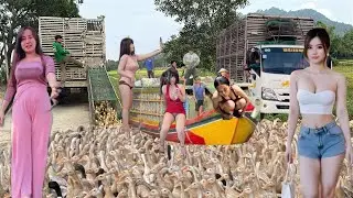 Ducks running and meandering down flooded fields to find food makes viewers excited.