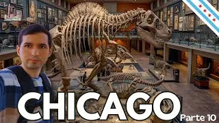 🌍 Viagem no tempo em Chicago! Descobrindo o Field Museum pelo CityPASS