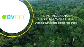 Promoting Ghana's Lesser-known species &ndash; Utilising sustainable timber resources