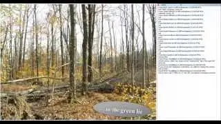 201305.Rehabilitation of degraded northeastern forest-20130515 1600-1