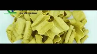 300kgh SunChips Max Protein Chips MultiGrain Chips Protein Corn Tortilla Chips Extruder Processing