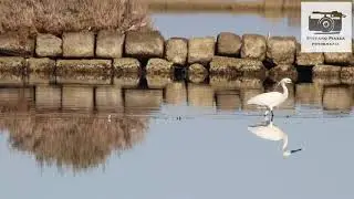 Alle Saline di Trapani