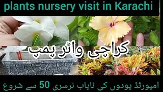 plants nursery visit in Karachi🌷Federal B area water pump🍁imported plant🌿