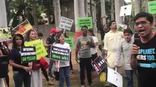 Animal liberation march India 2019(3)