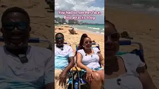 Unbelievable Reactions: Challenges of Bird Watching and Vlogging!