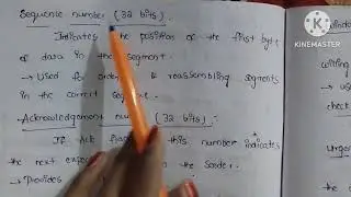 Explain TCP header format in telugu || Transmission control protocol || Computer networks