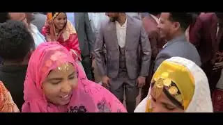 Eritrean Blin wedding in Edmonton,  Wedi hizbay stagging live