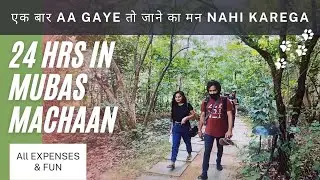 Mubas Machaan Barnawapara | Mubas Machaan Chhattisgarh | Food | Stay | Activities | Expenses