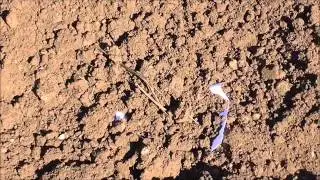 How To Dig Your Plot - Allotment Grow How