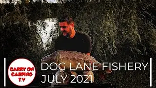 Dog Lane Part Deux - PBs and Prehistoric Predators
