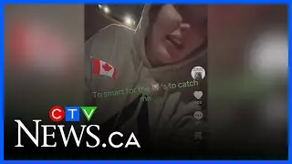Woman released from jail on fake documents says she'll turn herself in