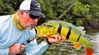 a Tight Loop Visits a Fly Shop - The Fly Fishers