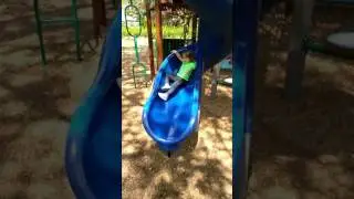 Migration Challenge at Queen's Zoo, Queens New York...2