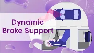 Dynamic Brake Support