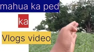 Mahua ke ped ka blog Video