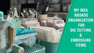 Ikea Raskog Organization Big Shot & Die