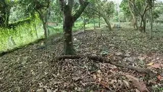 Farm 2