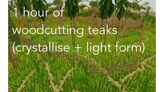 1 hour of chopping teaks (seren spells)