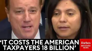'It Sounds To Me That's Your Answer': Fallon Grills Dem Witness Over Able-Bodied Adults Getting SNAP