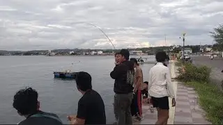 Mancing Target Ikan Predator di Pinggir Jalan  #mancingpasiran #casting #mancingdilaut