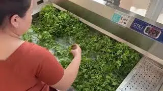 Vegetable washing machine