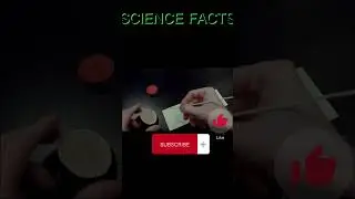 secret writing with lemon #youtubeshorts #science experiments #creativeidea #science #experiment