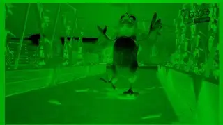 Bartolito tripped when he stepped on the cucumber|| Edit|| Sponsored by Gamavision Csupo effects 