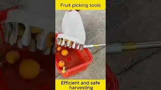 Fruit picking tools without climbing tree